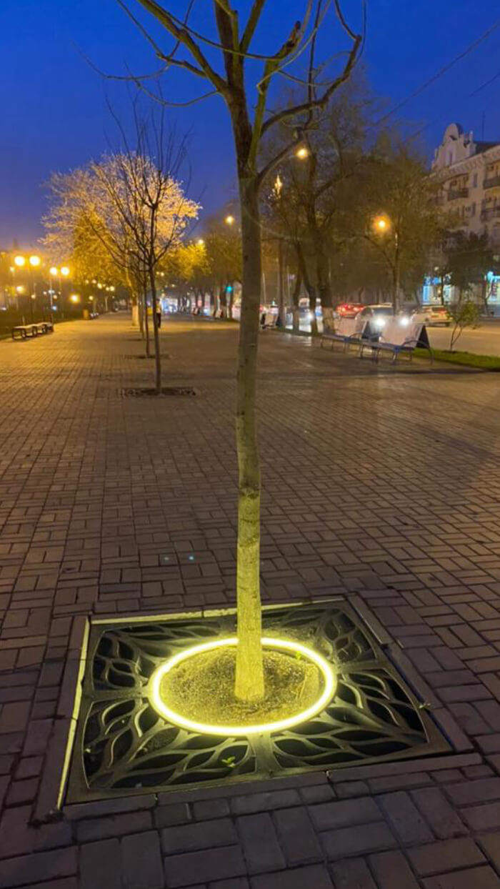 Приствольная решетка для дерева ZKING CRUST 1.2х1.2м Черная в Ангарске фото